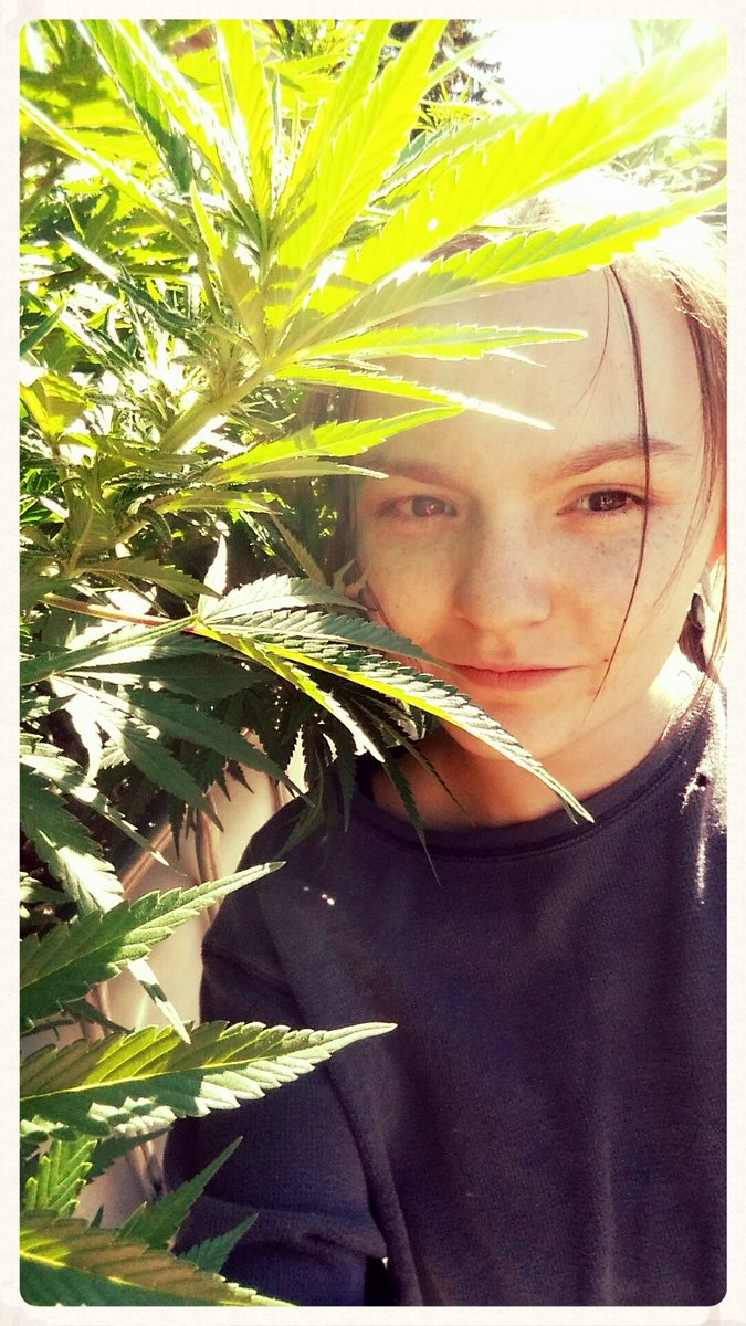 midnight_ruby94's tweet image. She hid where she was most comfortable and that was high up in the sky...