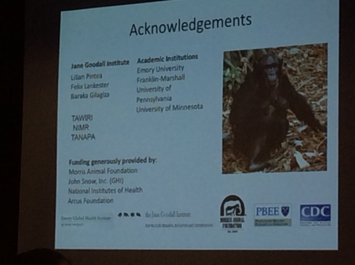 primatologists's tweet photo. Do they fund research because they "know nothing"? #GameofThrones #ISPASP16 https://t.co/cSmOP1sihZ