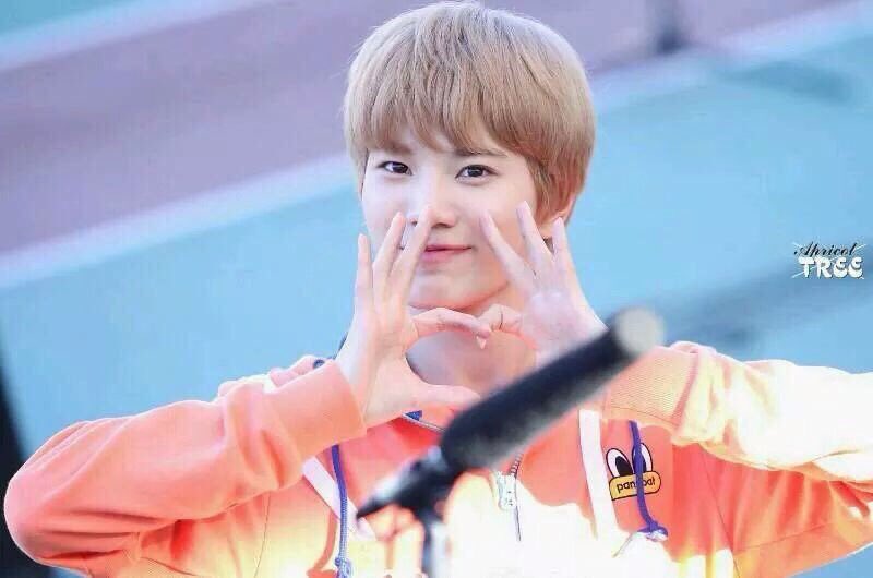 7Funtao's tweet photo. ３０日参戦
#日本全国いや全世界のINFINITEが好きな人つまりINSPIRITと繋がりたいのでINSPIRITはぜひRTしてださると助かりますもちろんRTしてくださった方フォローしますのでよろしくお願いします https://t.co/7cqbNbiFNP