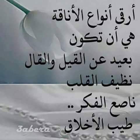 asffret1247's tweet photo. https://t.co/JRGxc2rZLY