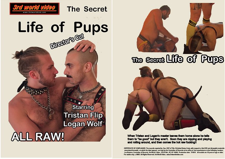 GayFantasyland's tweet photo. #secretlifeofpups #gayporn #3rdworldvideo @aebn @naked_sword w @wolvypup #gaypup #puptails #bareback #hotsex #porn https://t.co/E2Gv5Z8qgH
