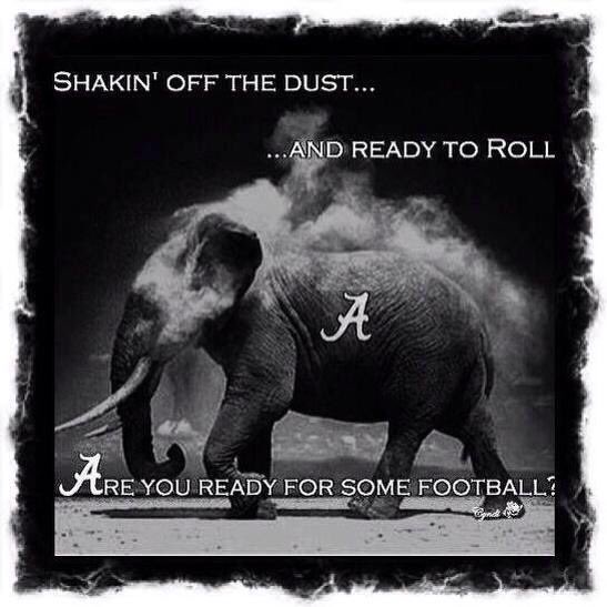 Richard Bradley tweet media