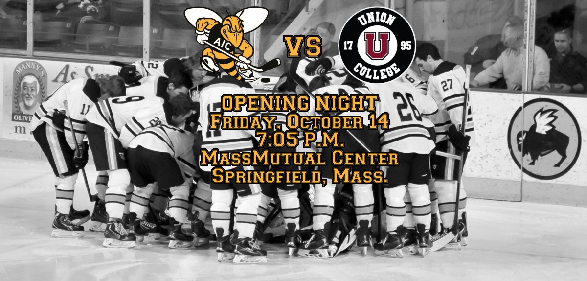 We drop the puck on 2016-17 in exactly 50 days! #AHC