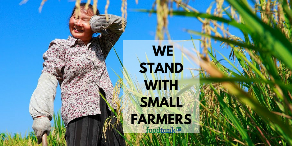 Support your local, small farmer &amp; you will feed the generations to come!