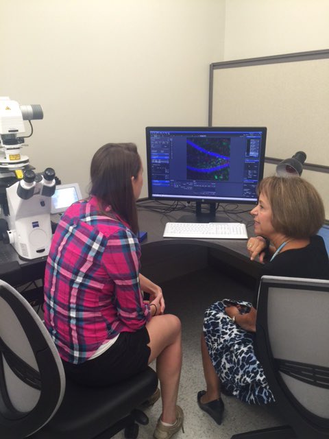 ChancellorFolt's tweet photo. Great visit to Howell Hall #psychdep w/ brain imaging, fMRI sim, great faculty/students &amp; gorgeous windows! Thanks. https://t.co/wjgLFyn7Es