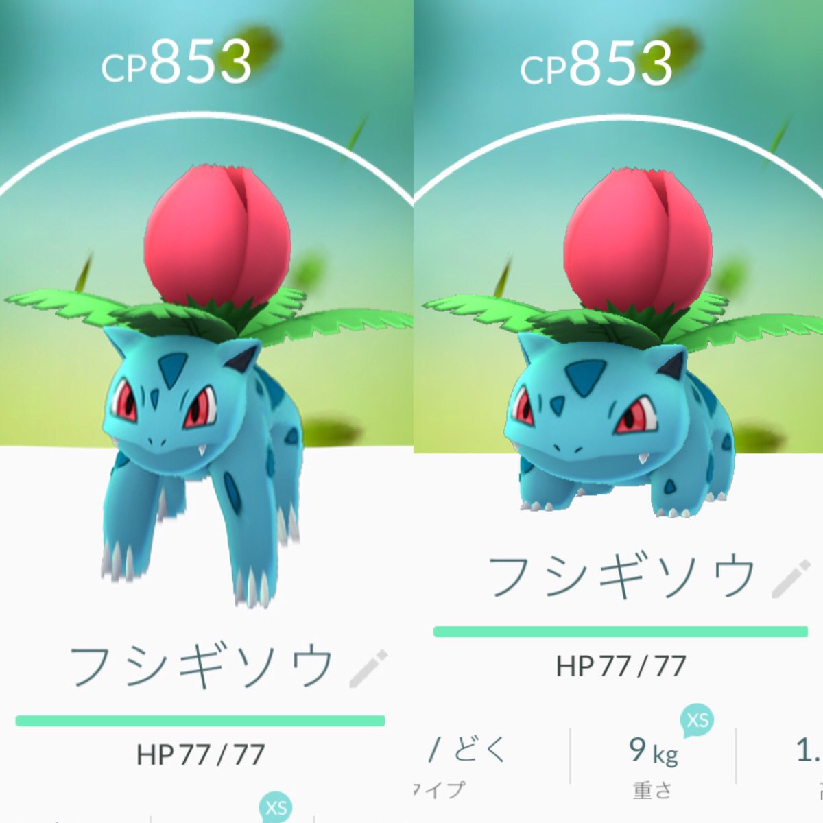 ぐぅ Milk369 Twitter वर 可愛いは作れる 笑 ポケモンgo フシギソウ 可愛いは作れる かわいいは正義