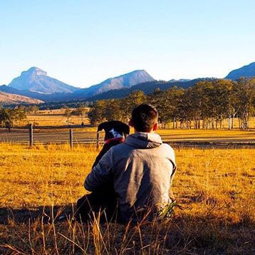 Queensland's tweet photo. 📷🐶✨ #NationalDogDay PHOTO CHALLENGE: Show us your pooch's fave #thisisqueensland spot! Here's a few of our 🙌💖 pics! https://t.co/bNcbZHwqZq