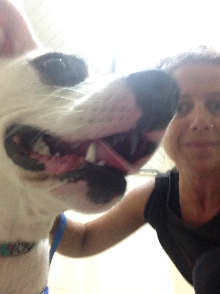 Chloe! Chloe! Chloe!  <a href="/NSSPCA/">Nova Scotia SPCA</a>