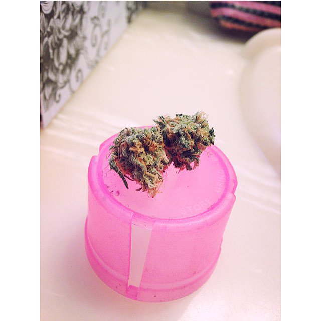 KarenAnsty's tweet photo. I have an obsession with taking cute pictures of weed all day lmao https://t.co/akvPJUlrBf