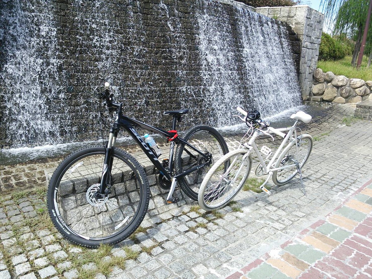 Kouta NINER BIKES (@kwp8Q3GY6WnJ4Fr)  Twitter