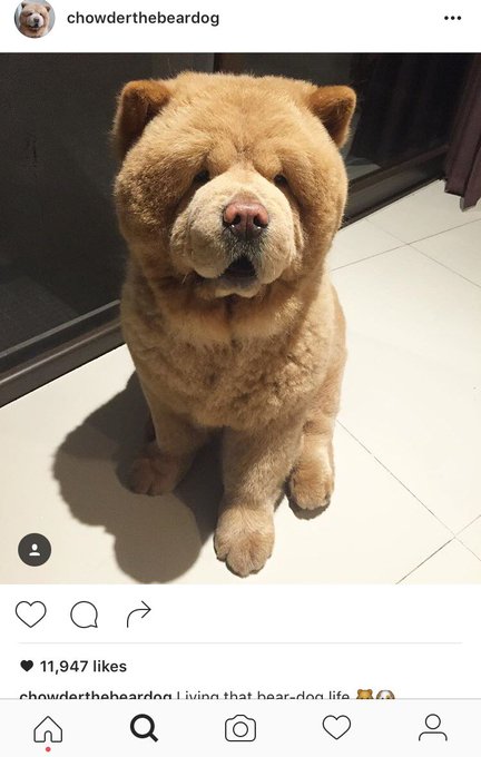 I'm Pretty sure I need this 😧🤗 https://t.co/BqaAmR4px5<a href="/tag/wcw"class="tags"><span>#wcw</span></a>