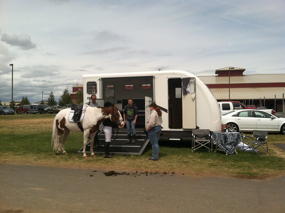 DtrailerL's tweet image. easy way to travel with your horses!