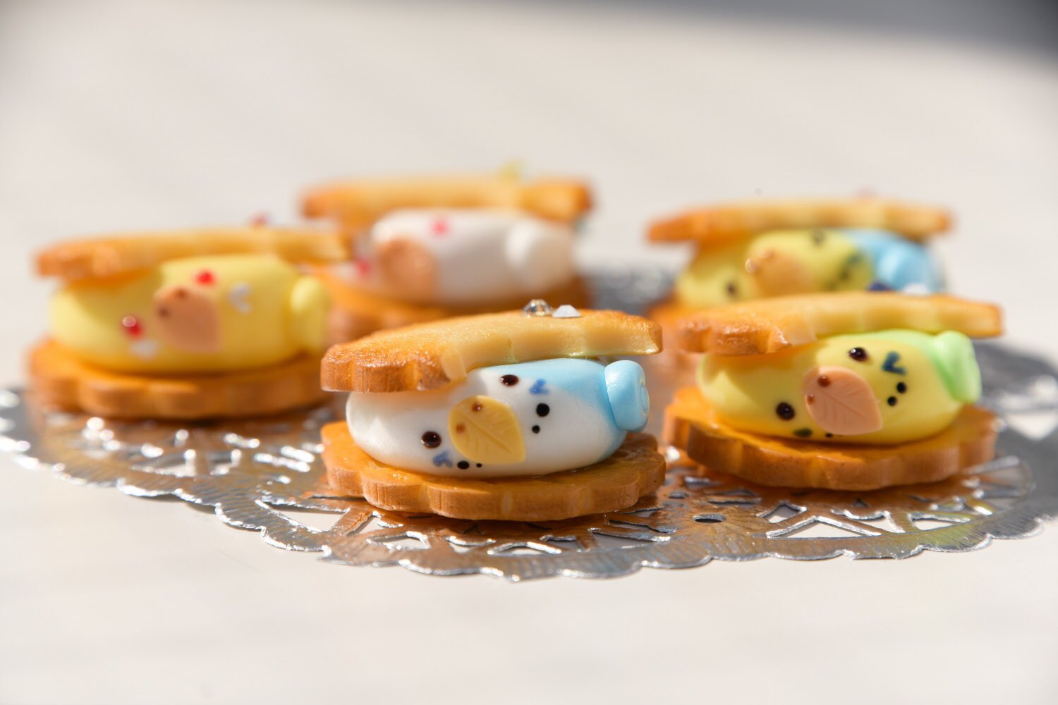 まがり屋 1 12 17博多阪急あっちこっち小鳥展 実演1 14 16 Minneで販売中のインコクッキー ですが 少しづつではありますがインコ好きの方の元へお嫁に行っております レビューも皆さん喜んでくださっていて 嬉しい限りです T Co V1loajof3y