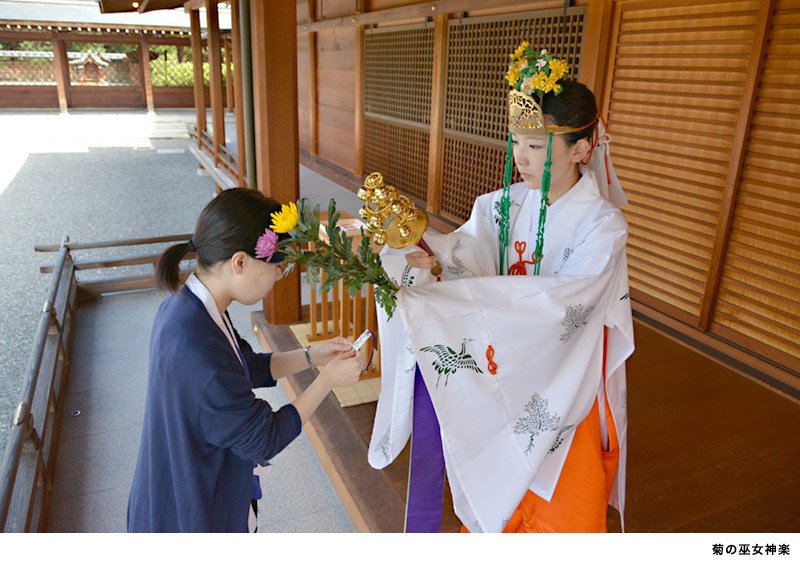 公式 京都市情報館 V Twitter おでかけ情報 9月は伏見区の城南宮で菊の巫女神楽 巫女さんが菊を冠に挿し 菊の枝を手に舞います 花守りの特別授与も 美容健康と招福を期待せざるを得ない T Co 0waymm9n2e Kyoto 京都