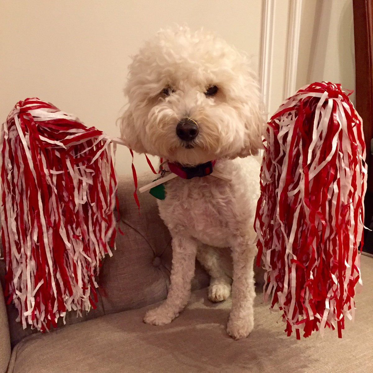 alisonhosp's tweet image. R. U. B. Y. You ain't got no alibi. #FREEBIGRUBY !