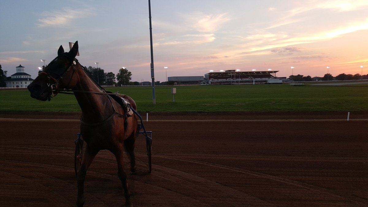 toile's tweet photo. Uncropped image horse from the sand pit. #redmileharness #redmile #Lexingtonky @redmileharness https://t.co/hNrn62RNGb