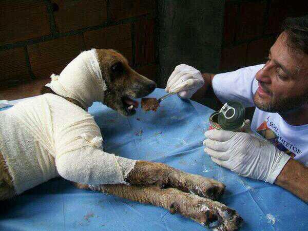 Animalesmsjs's tweet image. — Más personas así por favor. 💔👏👏
— #Adopta 💯💔🐶😢