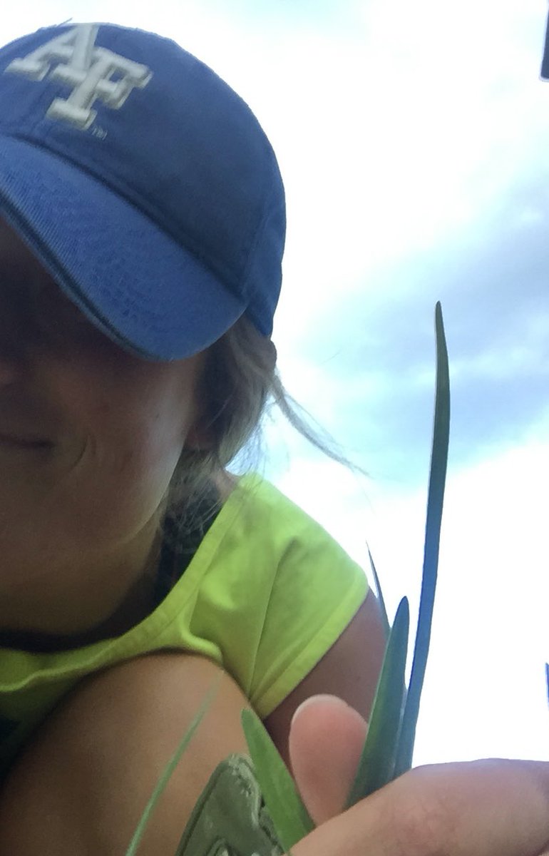 Tori Trimble (@toritrimble) on Twitter photo #plantselfie1214 <a href="/osu_plants/">Beatrix Haggard</a> tryna get that extra credit, plus I took these and the rain, so extra effort x10 #plantselfie1214 <a href="/osu_plants/">Beatrix Haggard</a> tryna get that extra credit, plus I took these and the rain, so extra effort x10