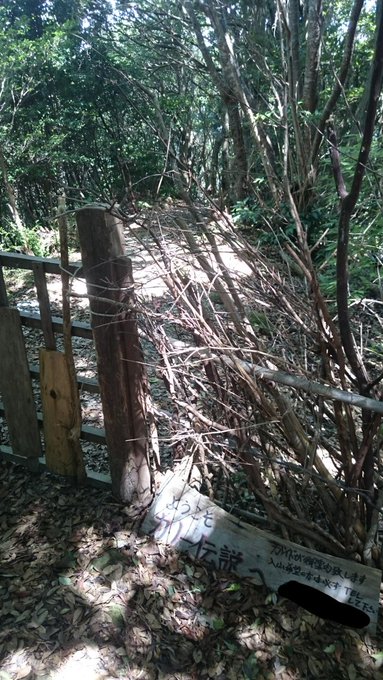 ロケ地 全シリーズ網羅 精霊の守り人 撮影目撃情報まとめと撮影裏話