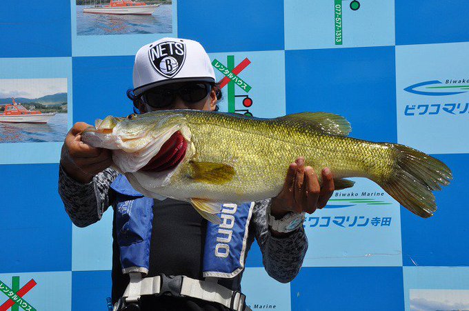 Tweet釣果 ボカッ スタッガーワイドで62 5cm 琵琶湖