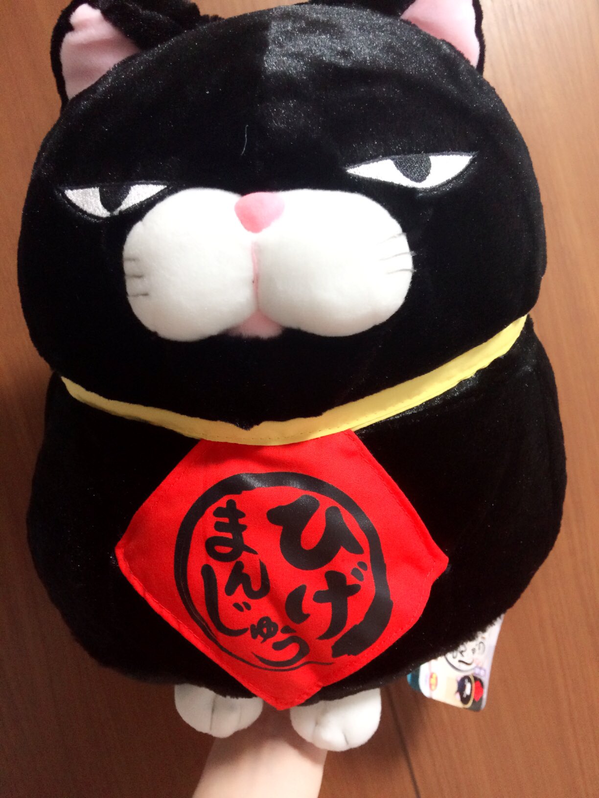 たぬき猫様 artworks-000463386600-v74oa4-