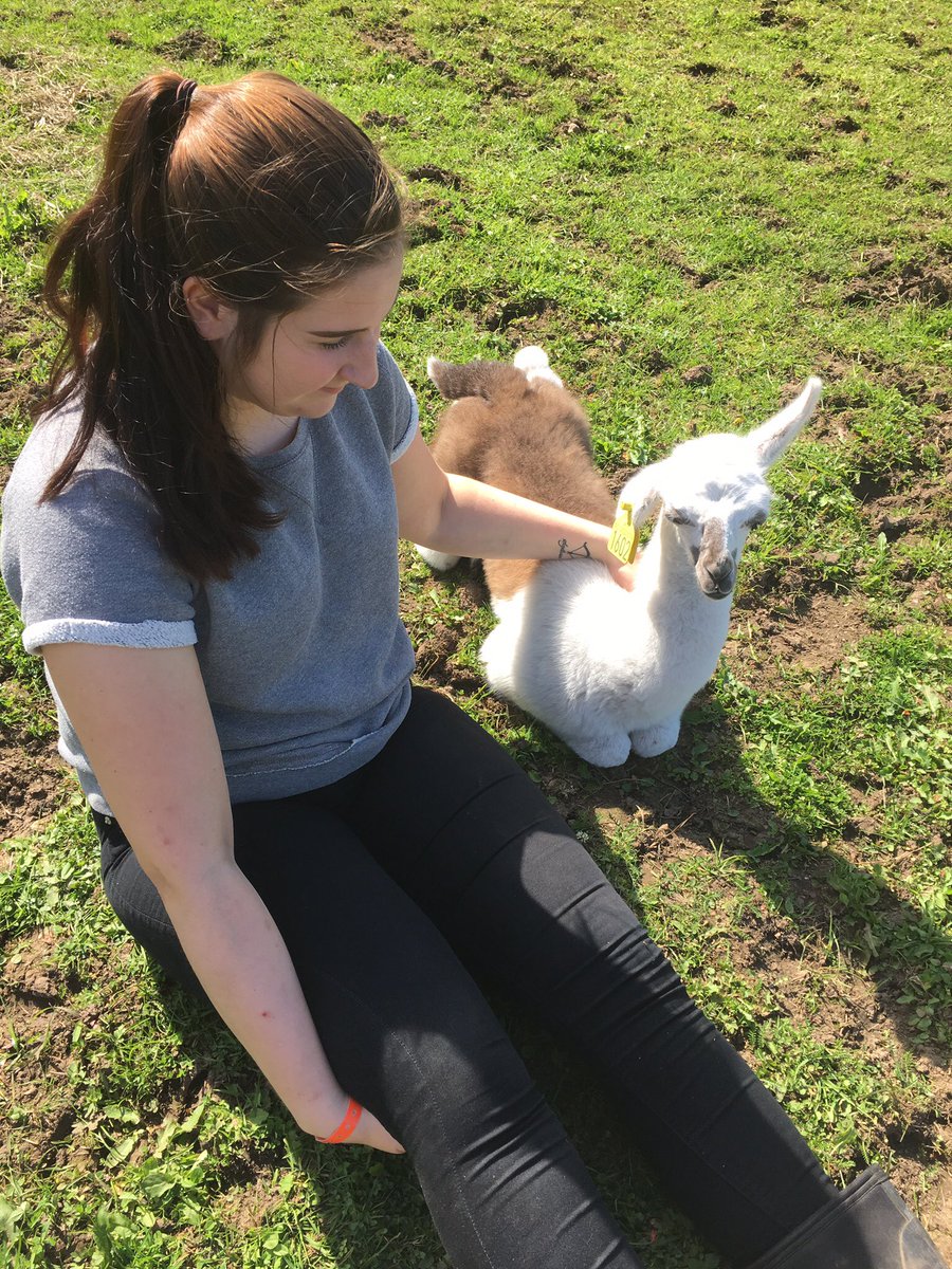 Drokja's tweet image. 