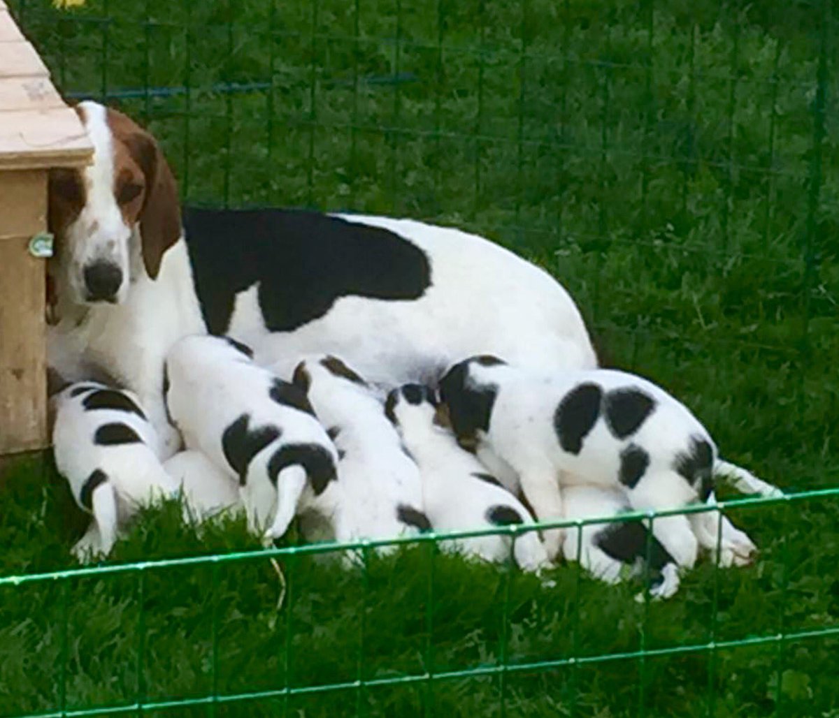 Drokja's tweet image. 