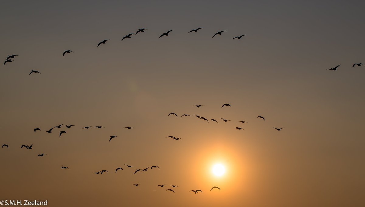 Havenlust's tweet photo. I was a peripheral visionary. I could see the future, but only way off to the side. Steven Wright #art #canon #love https://t.co/7e9O3iosgz