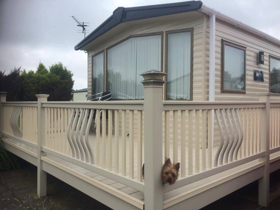 Spot the dog!
#NationalDogDay