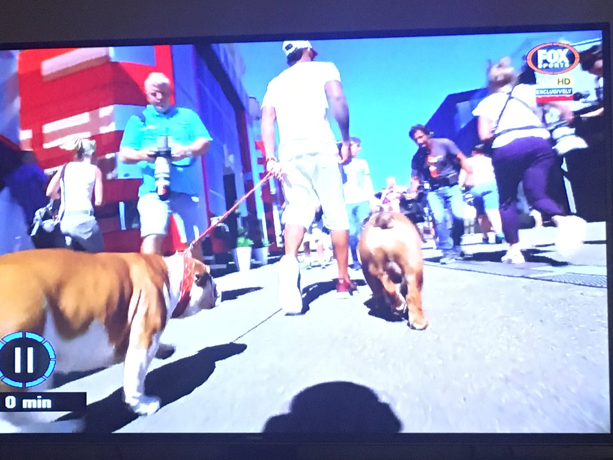 RodmorrisonTim's tweet image. Where's your Honey Badger ?@danielricciardo