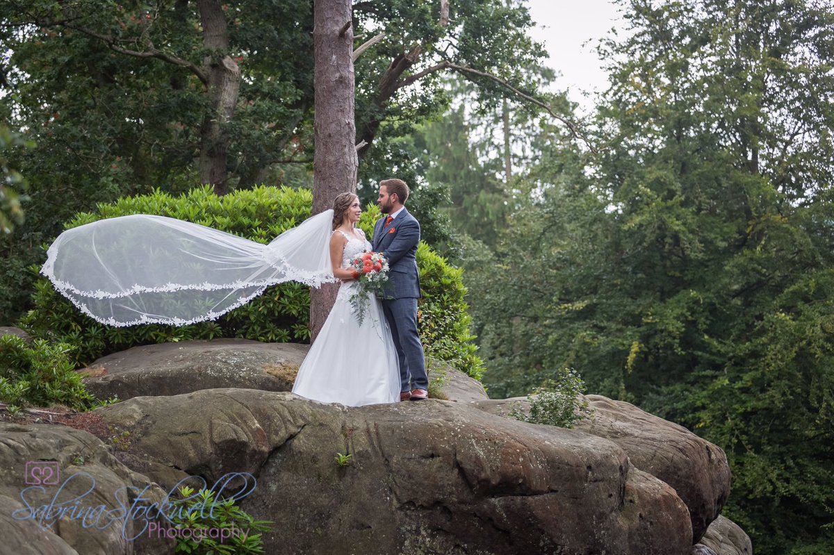 Sabrina Stockwell tweet media