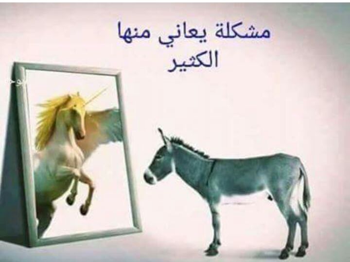 bitar_bassem tweet picture