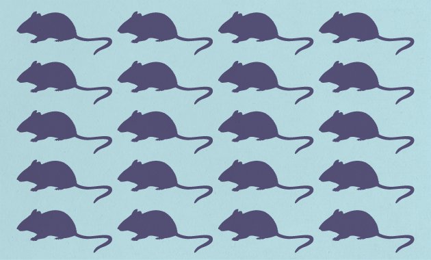 Nature's tweet photo. Replication studies: funders must encourage them, journals must publish them https://t.co/hSlp6nr4Cl https://t.co/eFd1D1rVE3