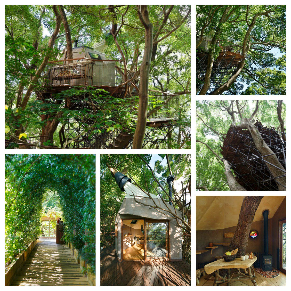 VieModeOfficial's tweet photo. Le salon de thé de Nid d’un Oiseau s’Est perché Placé sur un Arbre de ... https://t.co/wI0Vrb3Dwk #Architecture https://t.co/QqXQ8xIMqe