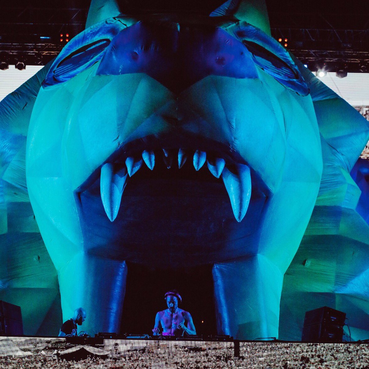 In the mouth of a 🦁 https://t.co/Lff9RoiaBR