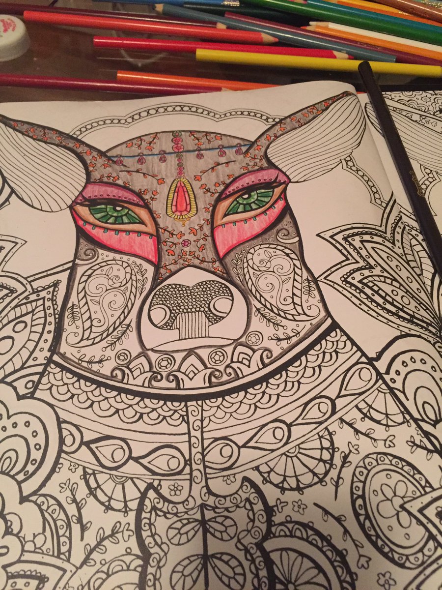 jrn810's tweet photo. Can't sleep. Time to color. #junglebook #coloringbook #latenight #coloredpencils #stressrelief https://t.co/PzfGVHtDhG