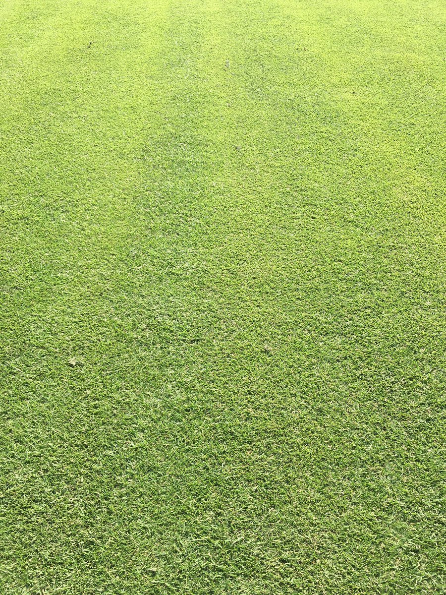 CoachGTowne's tweet image. Tough to find better fairways anywhere #hulmanlinks