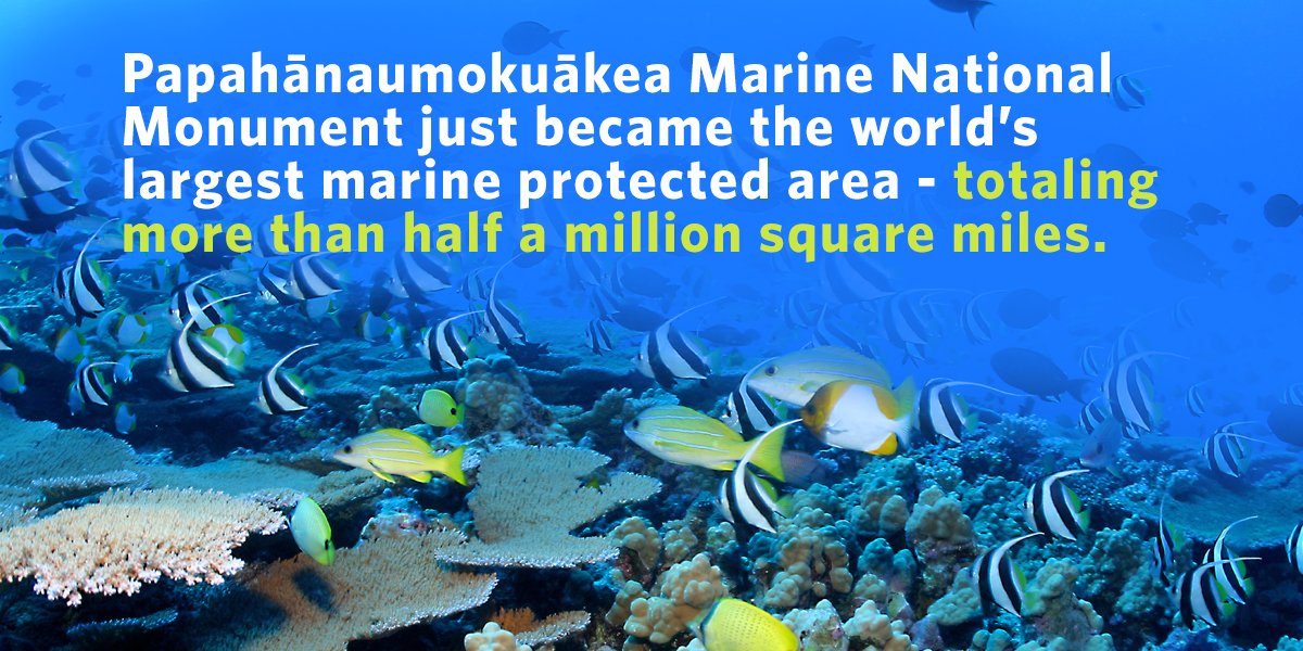 Took a while, but got the pronunciation down! Excited abt expansion of Papa-hanau-moku-akea go.wh.gov/uQtUgi