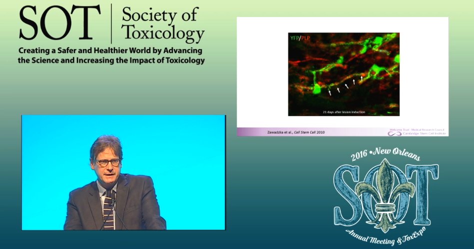SOToxicology's tweet photo. Aging, demyelination &amp; regeneration in CNS were focus of #2016SOT MRC Lecture: https://t.co/PLapoOB7J0 #FBF https://t.co/0kqQ3povOh