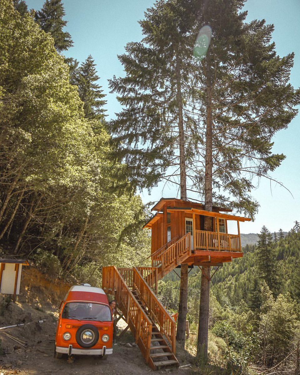 Tree House Love Treehauslove Twitter