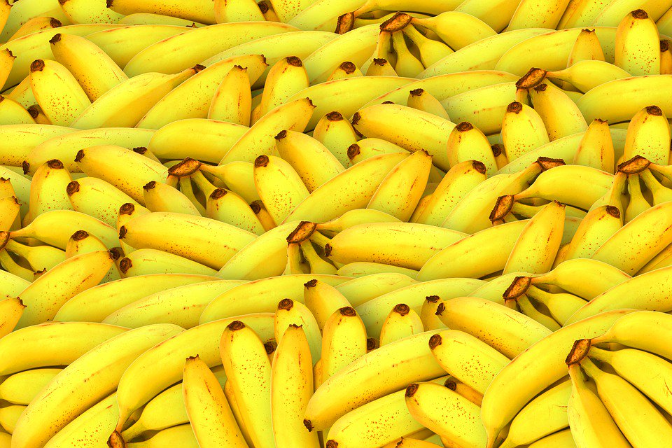 studio0174's tweet image. Enthousiaste #stagiair(e) gezocht! Bananas van #marketing en #communicatie? Check #vacature bit.ly/Studiostage