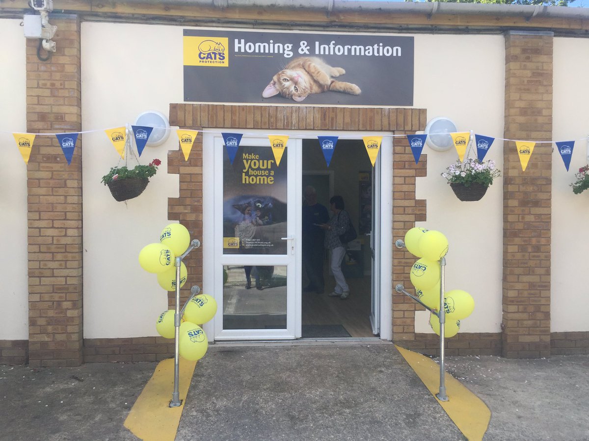 FirstFranchise's tweet image. We're at the brand new @CatsProtection rehoming and information centre in Blackdown Garden centre. It's fantastic!