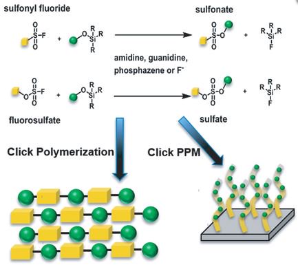 ChemEurJ's tweet photo. #concept #newmaterials SOxF and #silyl #ethers @universityofga is #freetoread until 10.09 https://t.co/LuYGhCv1z2 https://t.co/auZTpH4uDj
