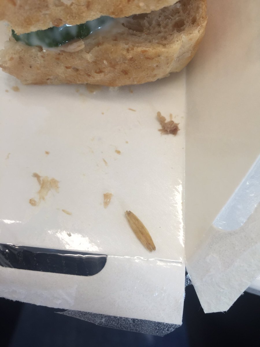 Love finding a bit of who knows what at the end of my <a href="/marksandspencer/">M&S</a> sandwich 😕