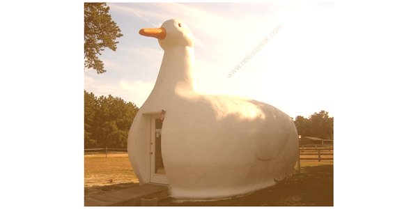 phiumigmoran191's tweet photo. it was elected the deputy of the Supreme Council of RSFSR #gamepeps https://t.co/P2HpX2tP4a