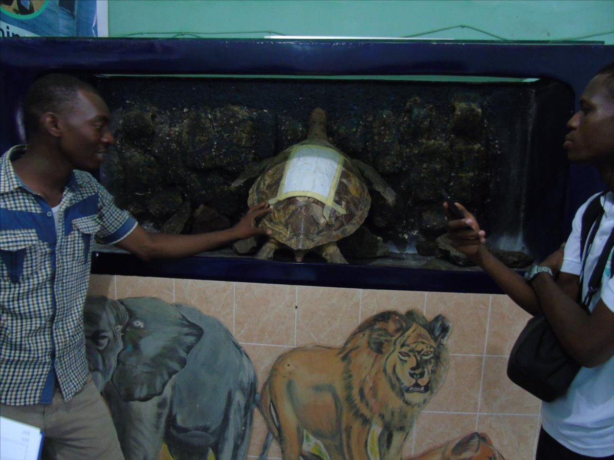 gletafafound's tweet photo. #Gletafa 0ur young professional @behanzinigor conducted us to visit the Museum of Nat. Sciences of Nature Tropicale https://t.co/WU8bfZZANi