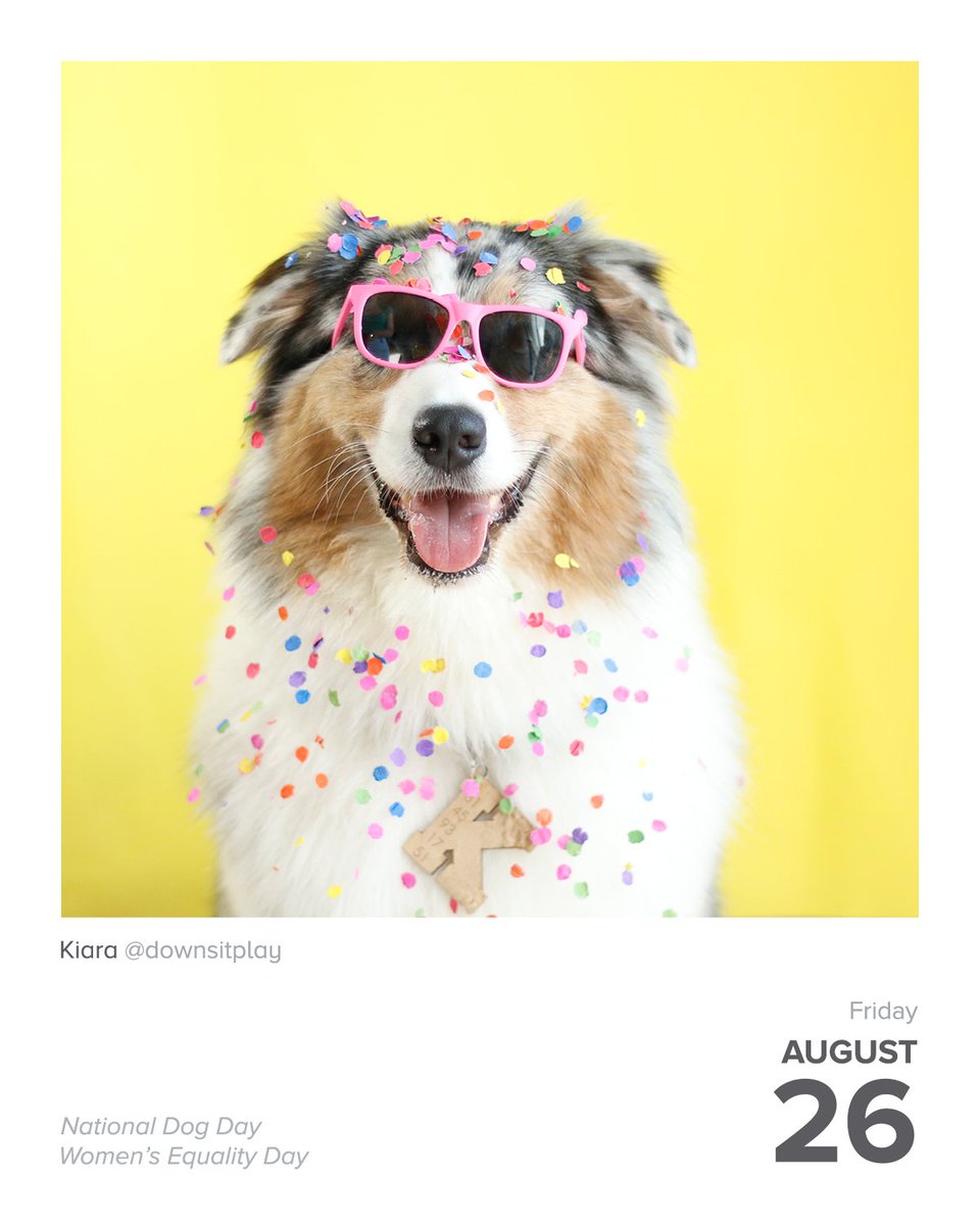 #DailyFluff
instagram.com/downsitplay 🐾