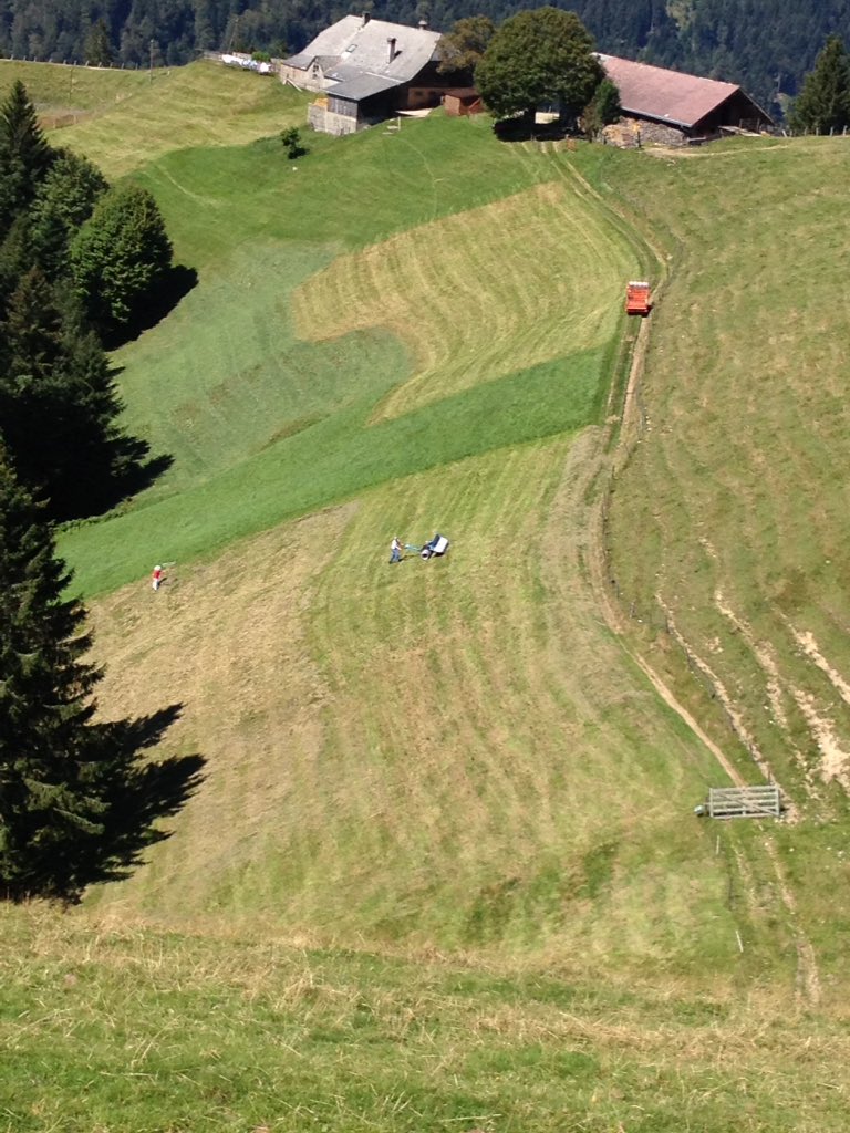 KittyLang_'s tweet photo. Hay-making in Switzerland will put hairs on your chest.. #hay #sosteep https://t.co/dIiSi6Dsct