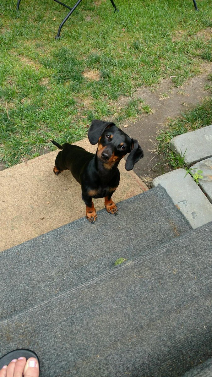 Riley from Oswego NY