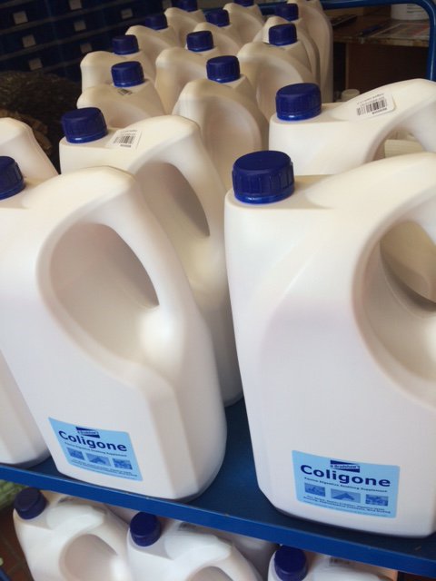 SupSolutions's tweet image. We've got plenty of @Coligone liquid ready to dispatch immediately: supplementsolutions.co.uk/brands/view-al… #Coligone